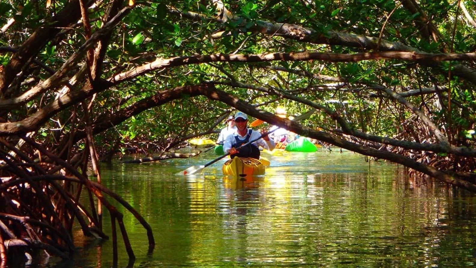 Mangrove Kayaking